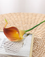 Load image into Gallery viewer, Artificial Caramel Calla Lily Stem
