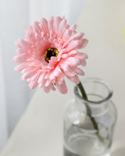 Load image into Gallery viewer, Silk Gerbera Daisies Carnation Pink
