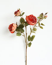 Load image into Gallery viewer, Best Silk Austin Rose Spray Orange

