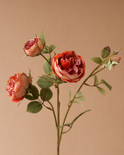 Load image into Gallery viewer, Faux Austin Rose Spray Fire Orange
