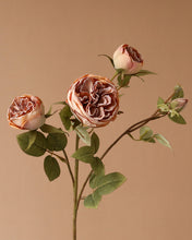Load image into Gallery viewer, Quality Silk Austin Spray Rose
