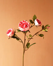 Load image into Gallery viewer, Best Silk Austin Rose Spray Punch
