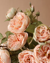 Load image into Gallery viewer, Artificial Silk Austin Rose Spray Peach
