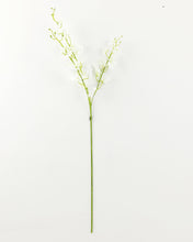 Load image into Gallery viewer, Silk White Oncidium Orchid Long Stem
