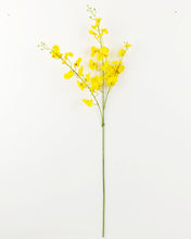 Load image into Gallery viewer, Best Faux Yellow Phalaenopsis Orchid

