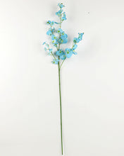 Load image into Gallery viewer, Best Silk Blue Oncidium Orchid Long Stem
