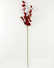 Load image into Gallery viewer, Best Silk Dark Red  Oncidium Orchid
