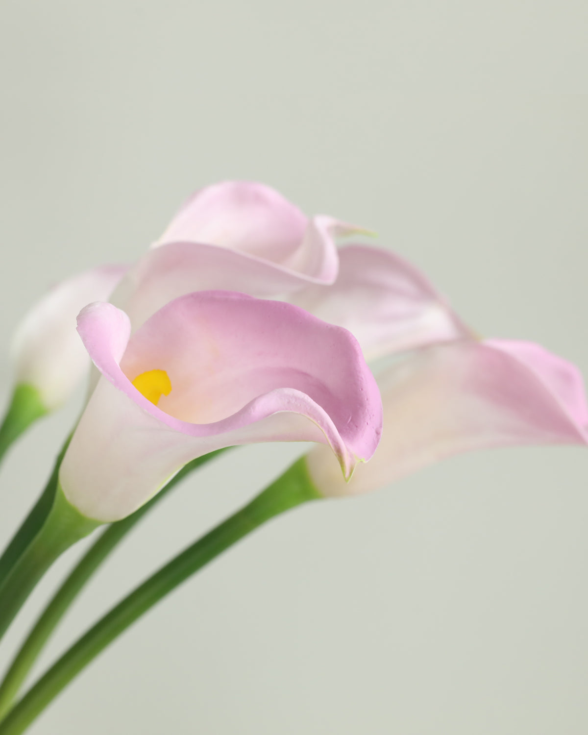 Large Latex Real Touch Calla lily