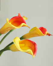 Load image into Gallery viewer, Artificial Real Touch Calla lily Long Stem
