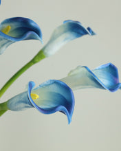 Load image into Gallery viewer, Artificial Real Touch Calla lily Blue
