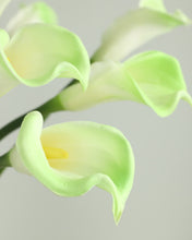 Load image into Gallery viewer, Large Real Touch Calla lily Green
