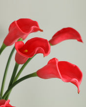 Load image into Gallery viewer, Large Real Touch Calla lily Red
