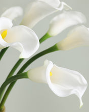 Load image into Gallery viewer, Large Real Touch Calla lily White
