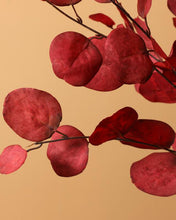 Load image into Gallery viewer, Silk Autumn Apple Tree Leaves 

