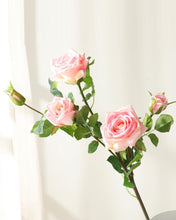 Load image into Gallery viewer, Best Moist Real Touch Spray Rose Pink
