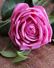 Load image into Gallery viewer, Moist Real Touch Spray Rose Violet
