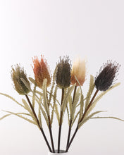 Load image into Gallery viewer, Large Artificial Banksia Flowers Stem 
