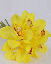 Load image into Gallery viewer, Artificial Yellow Cymbidium Orchid Bundle
