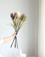 Load image into Gallery viewer, Best Large Banksia Flower Stem Online
