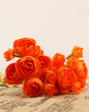 Load image into Gallery viewer, Best Orange Ranunculus Flowers for Wedding
