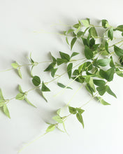 Load image into Gallery viewer, Fake Clematis Leaves Branches 
