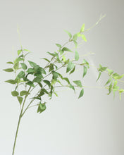 Load image into Gallery viewer, Silk Clematis Leaves Long Stem

