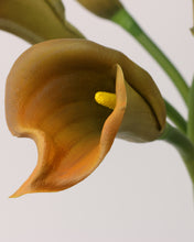 Load image into Gallery viewer, Artificial Real Touch Calla Lily Ochre
