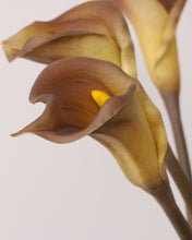 Load image into Gallery viewer, Realistic Real Touch Calla Lily Caramel
