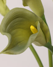 Load image into Gallery viewer, Artificial Real Touch Calla Lily Crocodile
