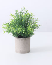 Load image into Gallery viewer, Artificial Potted Plants Rosemary 
