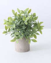 Load image into Gallery viewer, Artificial Potted Plants Boxwood
