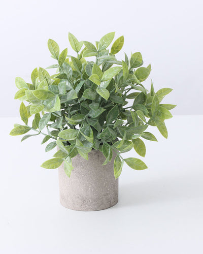 Artificial Potted Plants Boxwood