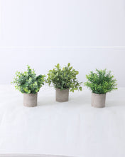 Load image into Gallery viewer, Artificial Potted Rosemary Sprigs
