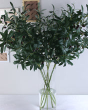 Load image into Gallery viewer, Artificial Olive Tree Branch For Vase
