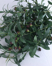Load image into Gallery viewer, Best Faux Olive Tree Branch
