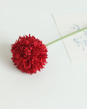 Load image into Gallery viewer, Red Pom Pom Mum Chrysanthemum Ball
