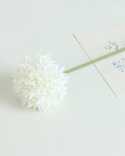 Load image into Gallery viewer, White Pom Pom Mum Chrysanthemum

