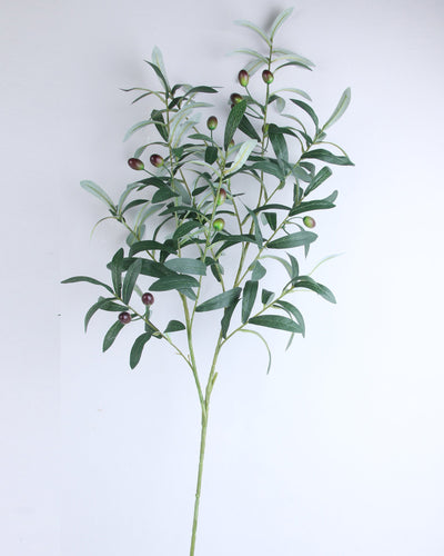Large Artificial Olive Tree Branch 