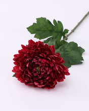 Load image into Gallery viewer, Extra Large Burgundy Artificial Chrysanthemum
