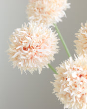Load image into Gallery viewer, Silk Pompon Mum Chrysanthemum Stem
