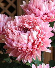 Load image into Gallery viewer, Large Pink Artificial Silk Chrysanthemum
