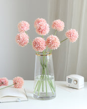 Load image into Gallery viewer, Pink Pompon Mum Chrysanthemum Ball
