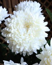 Load image into Gallery viewer, Large Artificial White Chrysanthemum Mum
