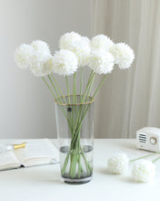 Load image into Gallery viewer, White Pompon Mum Chrysanthemum Stem
