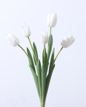 Load image into Gallery viewer, Real Touch Artificial Silk Tulips White
