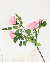 Load image into Gallery viewer, High Quality Moist Real Touch Spray Rose
