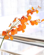 Load image into Gallery viewer, Best Silk Orange Oncidium Orchid Long Stem
