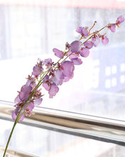Load image into Gallery viewer, Silk Purple Oncidium Orchid Long Stem
