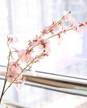 Load image into Gallery viewer, Best Silk Oncidium Orchid Branch Pink
